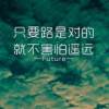 已报名威客